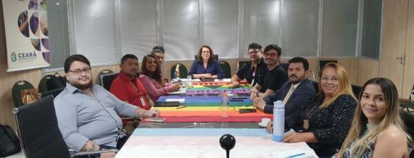 Sediv realiza 15ª Reunião Ordinária do Conselho Estadual de Combate à Discriminação LGBT