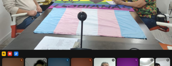 Conselho Estadual de Combate à Discriminação LGBT+ realiza 18ª Reunião Ordinária na Casa Civil