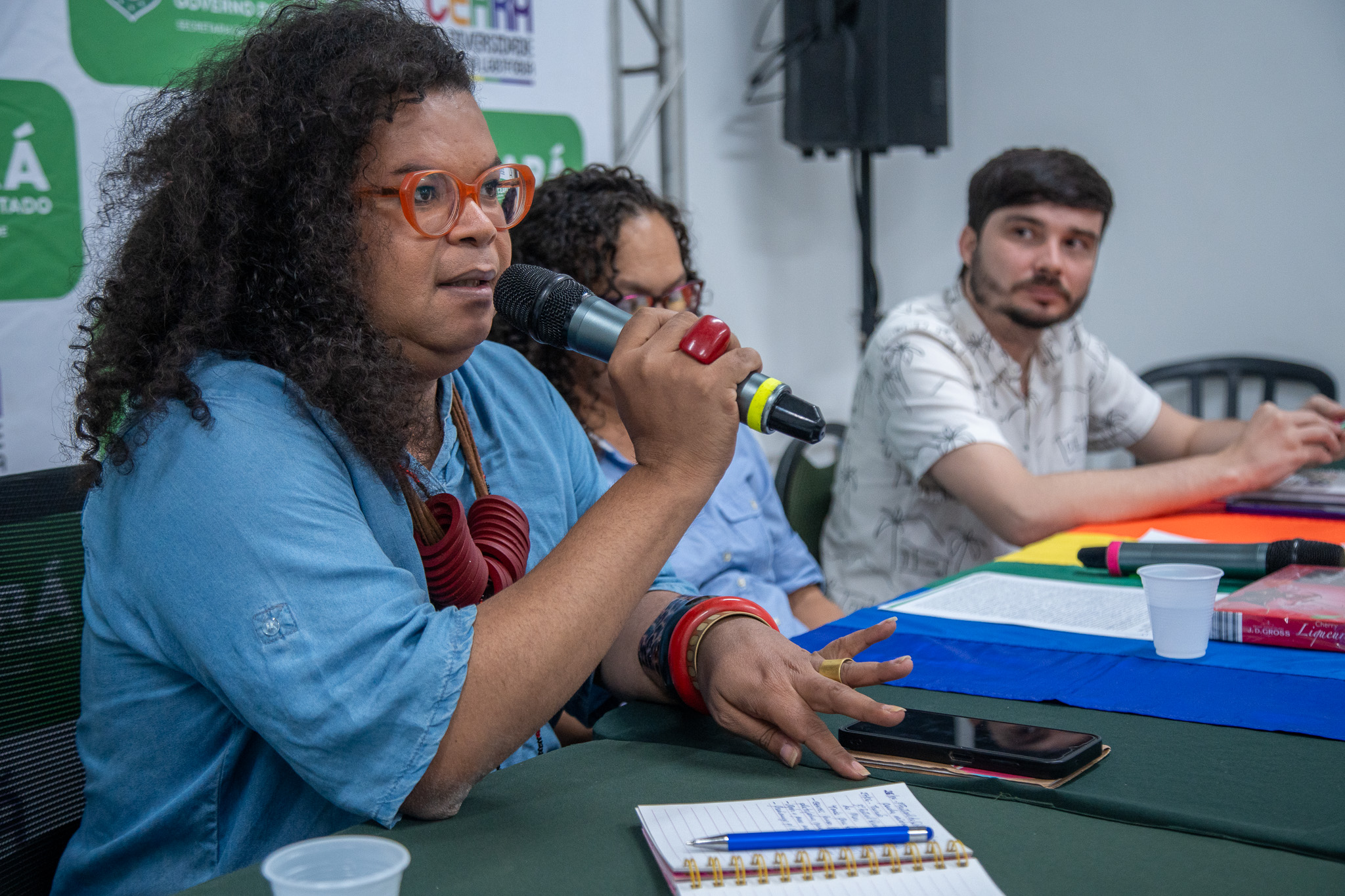 Secretaria da Diversidade participa da 1ª Reunião Extraordinária do Conselho Estadual de Combate à Discriminação LGBT